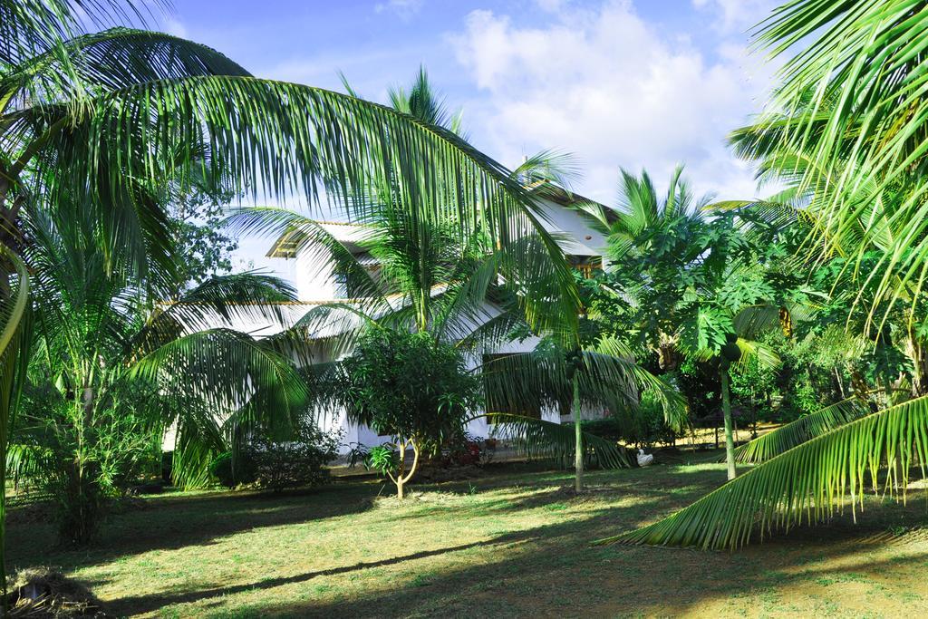 Coconut Garden House Hotel Udawalawe Luaran gambar