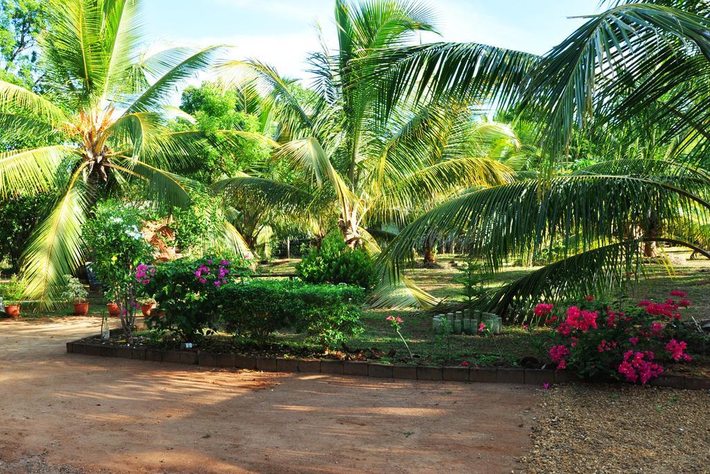 Coconut Garden House Hotel Udawalawe Luaran gambar