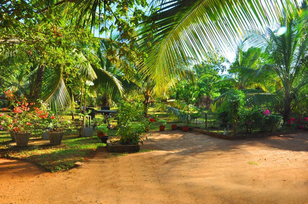 Coconut Garden House Hotel Udawalawe Luaran gambar